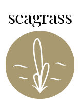 crucial seagrass