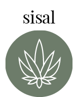 crucial sisal